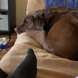 Meet your Posher, Kelly